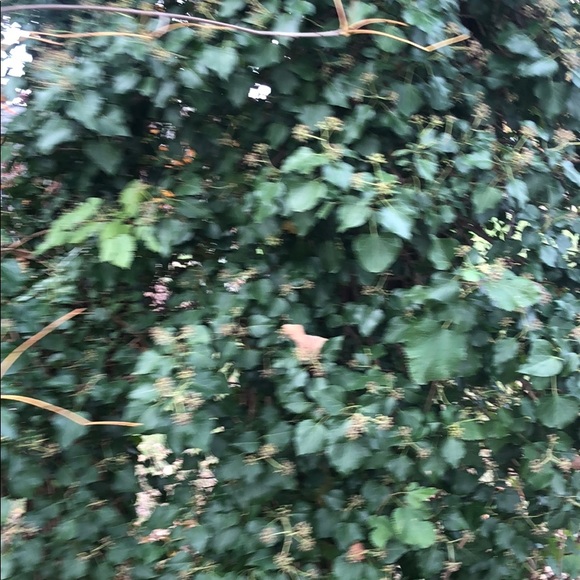 Meet your Posher, Michael - Picture 1 of 1